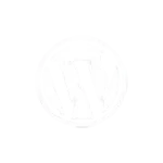 Freelance Digital Marketer in Calicut